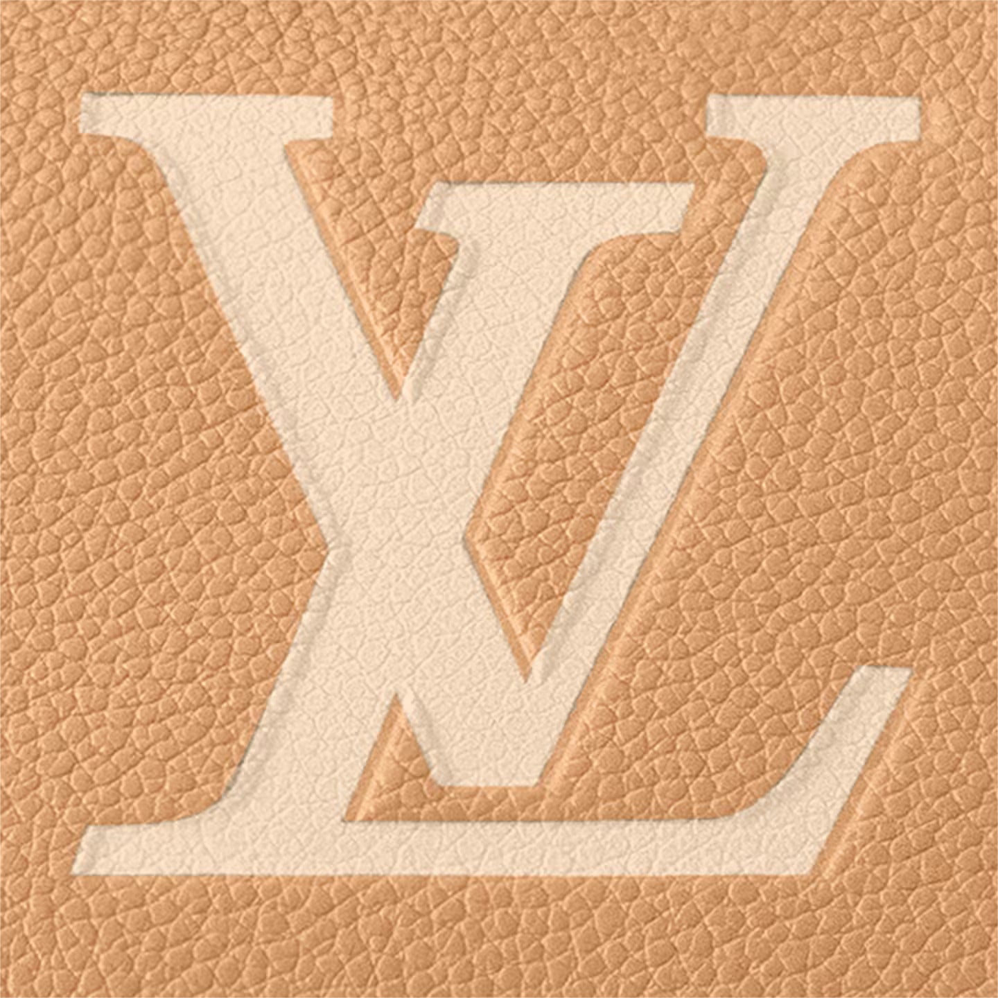 Louis Vuitton M45983 Multi Pochette Accessoires