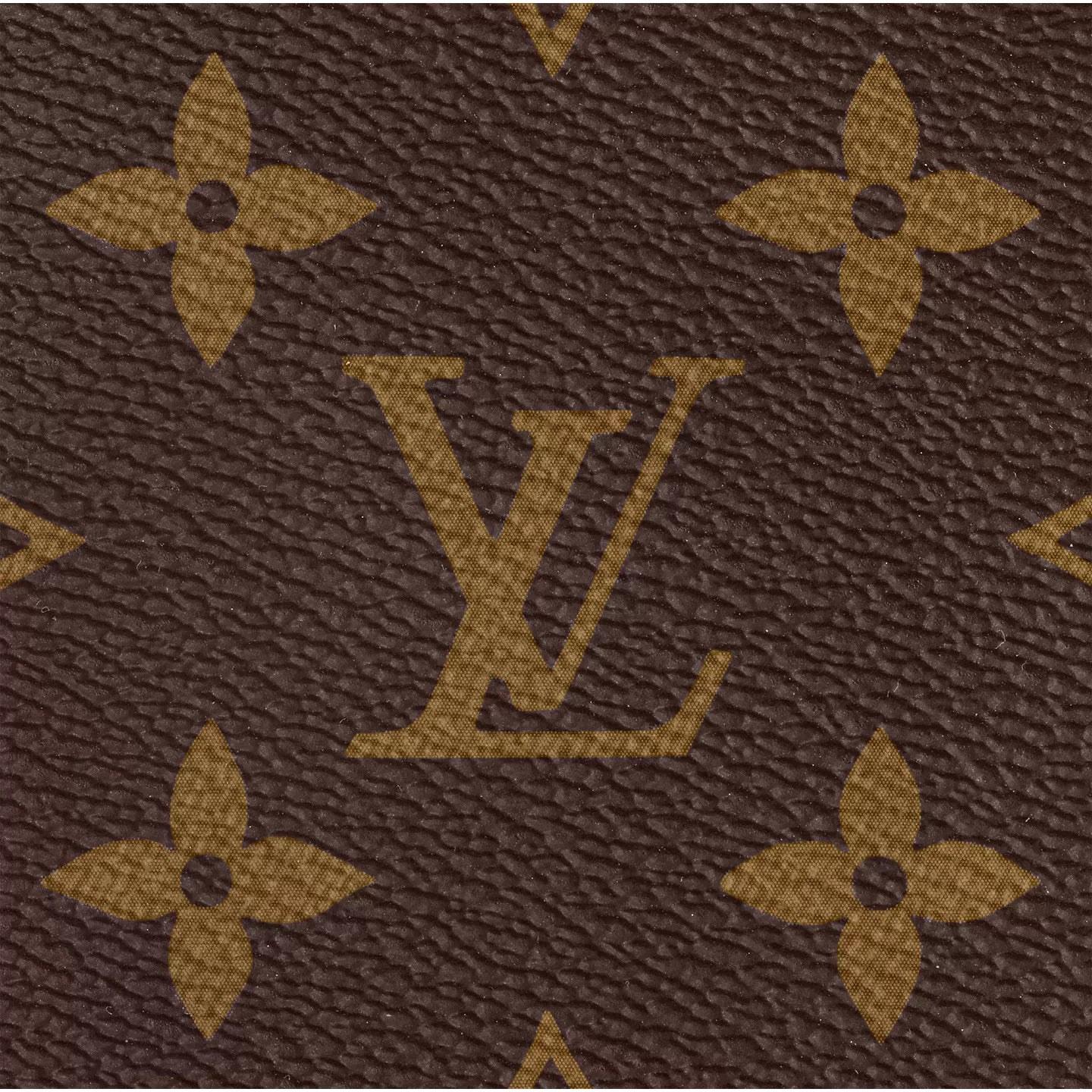 Louis Vuitton Speedy 25 M41109