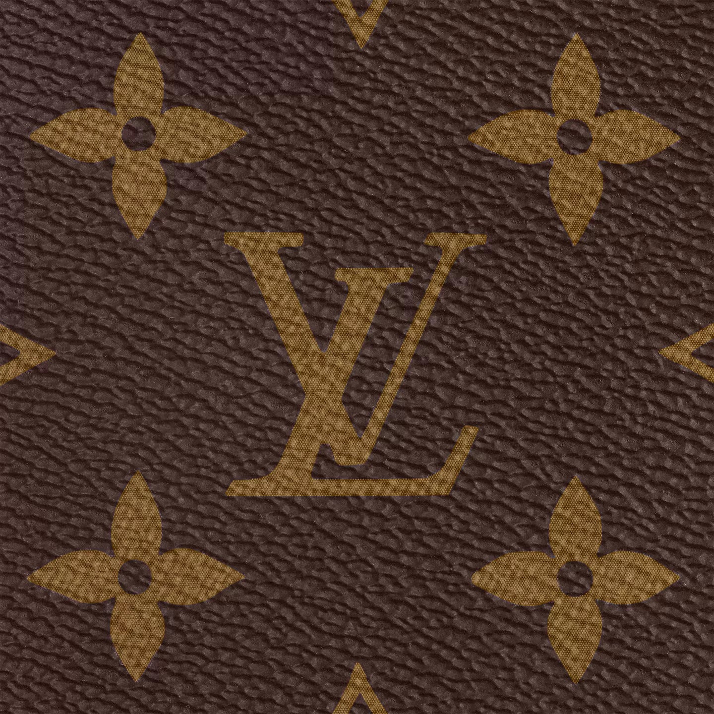 Louis Vuitton Speedy Bandouliere 25 M41113